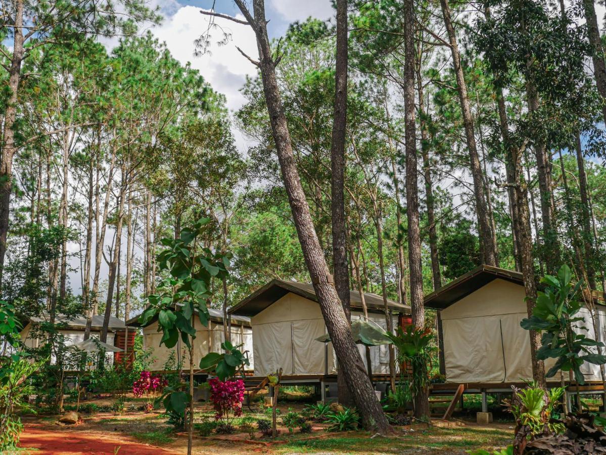 Vkirirom Pine Resort Chambak Dangkom Esterno foto